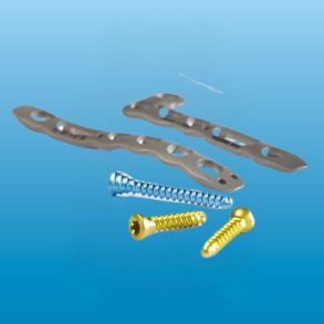 Screws and Plates